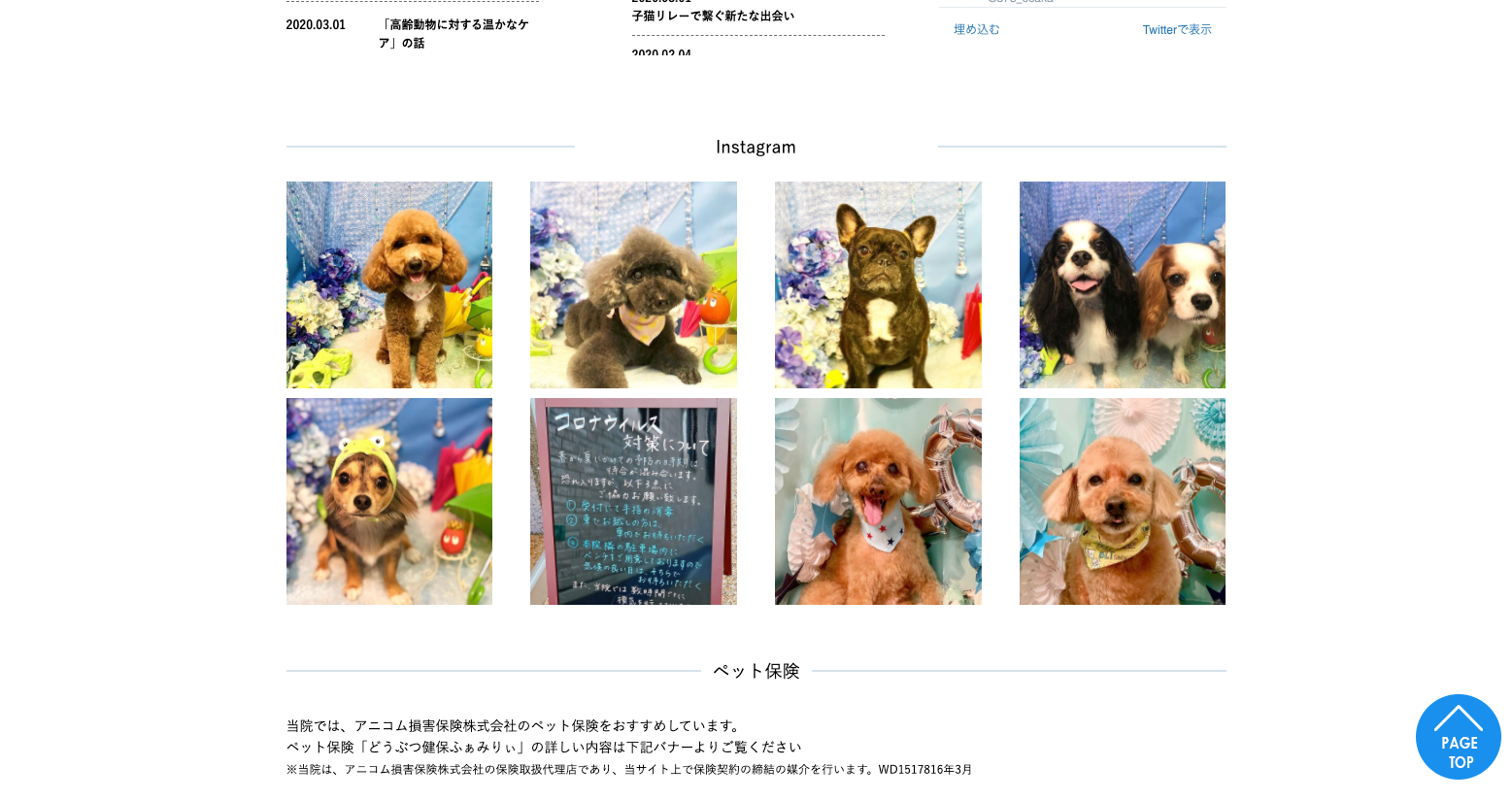 動物病院のインスタグラム活用 有限会社ワイズオフィス